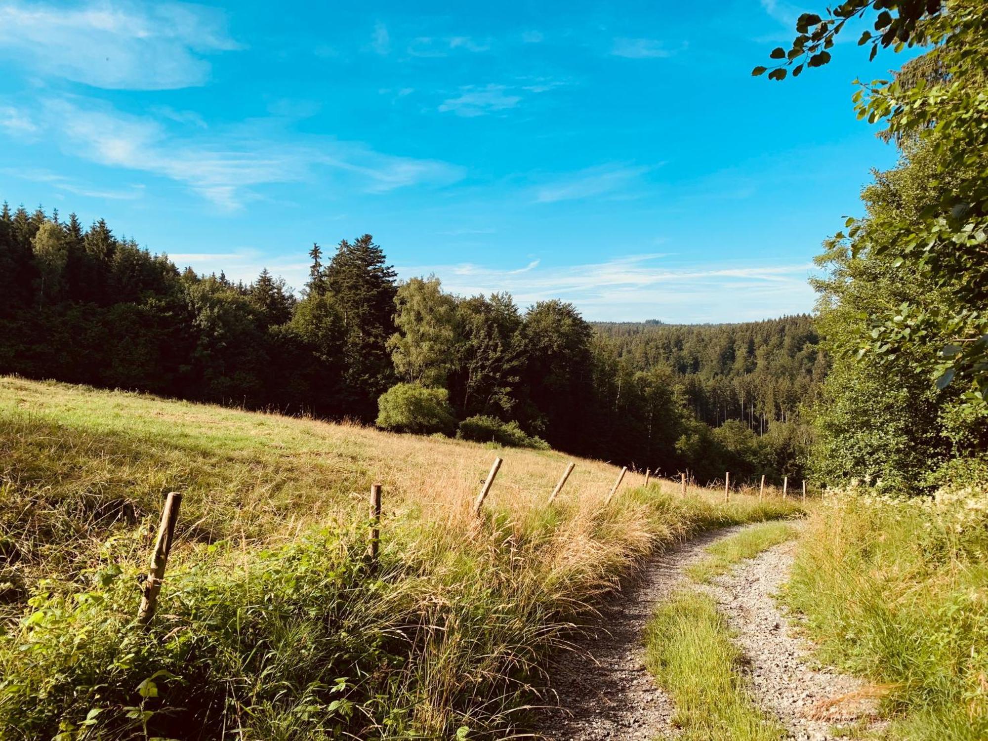 Hjem - Tiny Homes Direkt Am Wald Zwischen Allgaeu & Bodensee Bergatreute Exterior foto